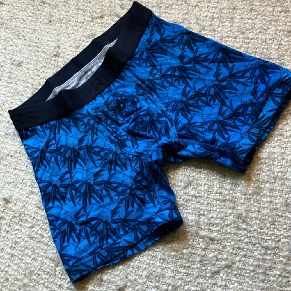 🌿NWT EXPRESS MENS SIZE SMALL COMFORT COTTON BRIEFS
